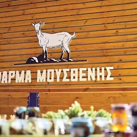 Diana's House Appartamento Khrisokastron