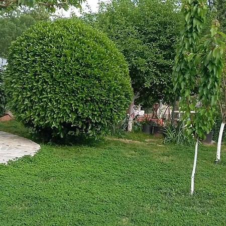 Diana's House شقة *