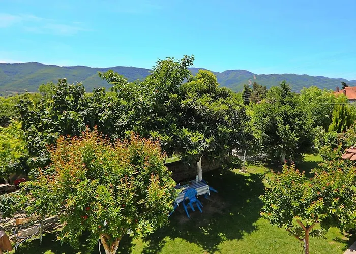 Apartamento Diana's House Khrisokastron